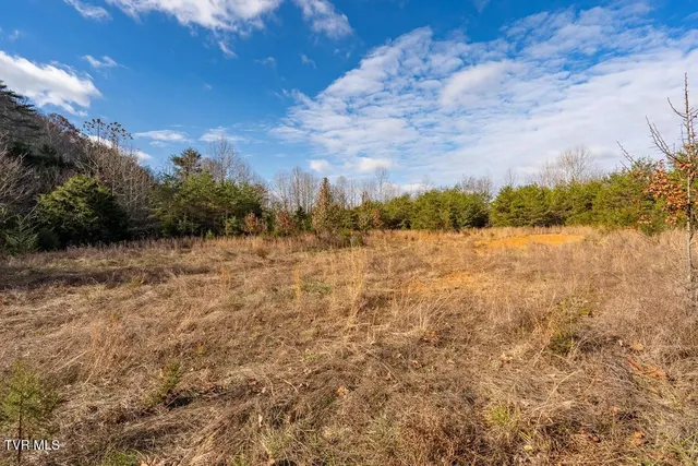 $950,000 | Tbd93-acres Hunting Hill Road, Bluff City, TN 37618