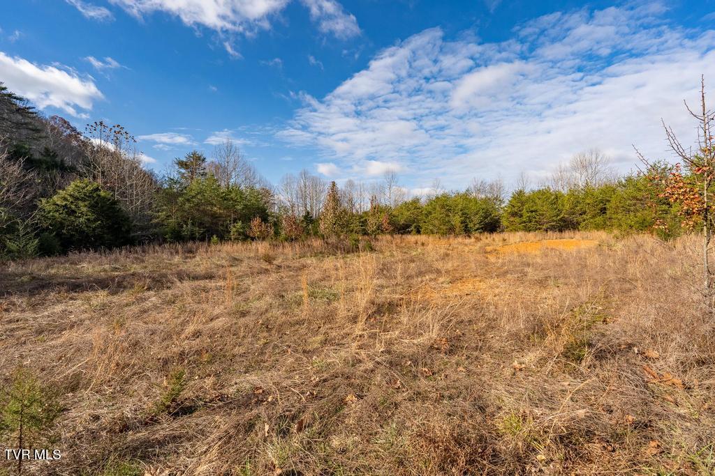 Tbd93-acres Hunting Hill Road Bluff City, TN 37618 - Photo 37 of 53 TBD Hunting Hill Rd Bluff City TN
