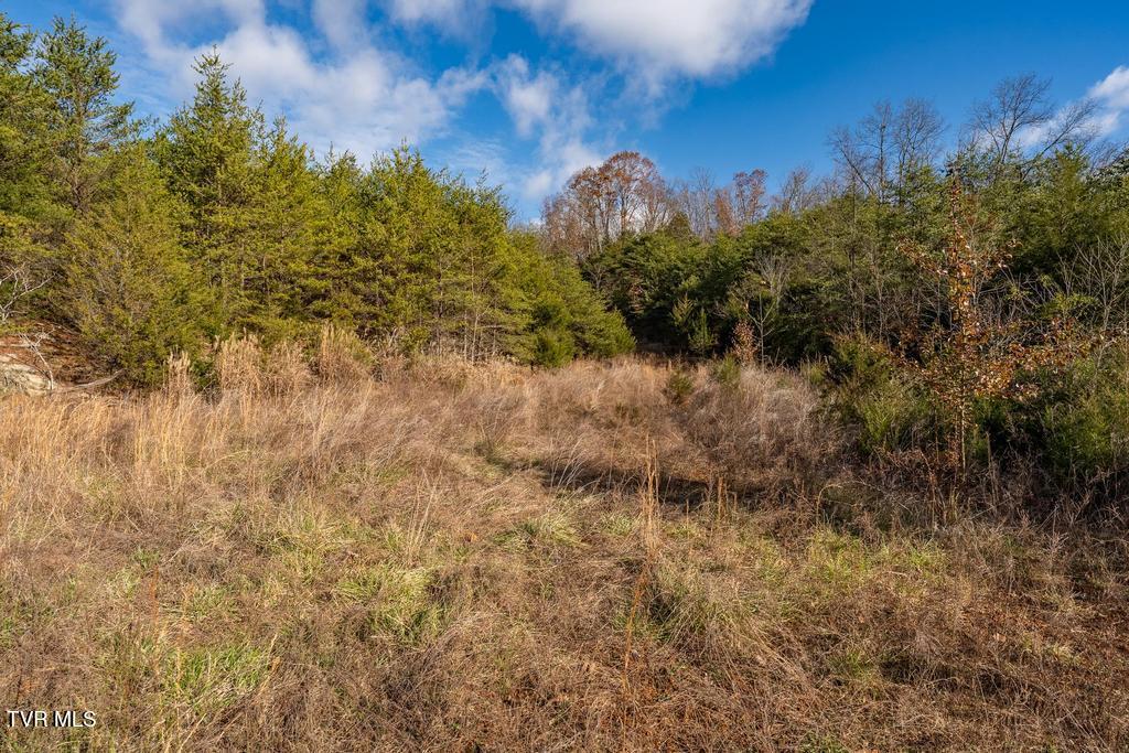 Tbd93-acres Hunting Hill Road Bluff City, TN 37618 - Photo 38 of 53 TBD Hunting Hill Rd Bluff City TN