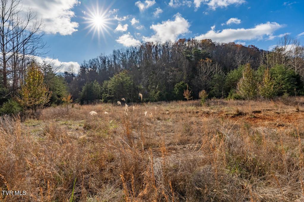 Tbd93-acres Hunting Hill Road Bluff City, TN 37618 - Photo 39 of 53 TBD Hunting Hill Rd Bluff City TN