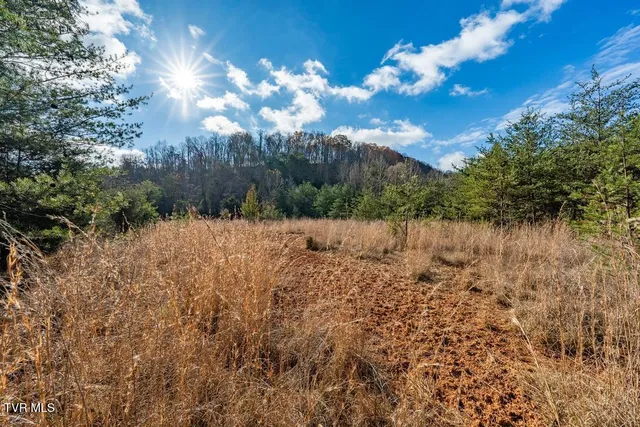 $950,000 | Tbd93-acres Hunting Hill Road, Bluff City, TN 37618