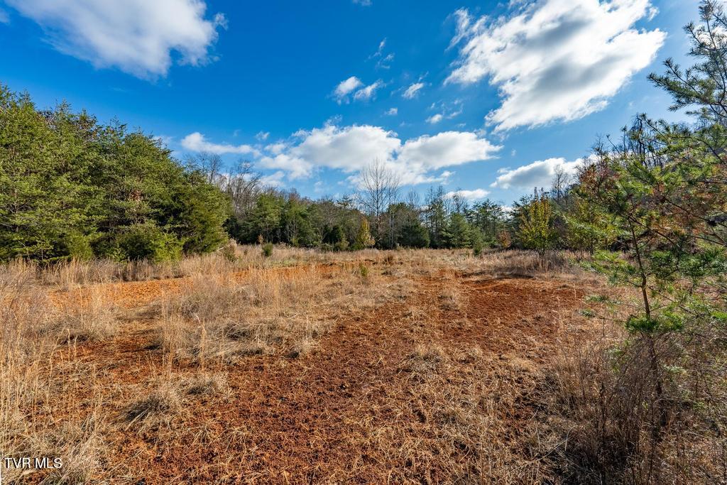 Tbd93-acres Hunting Hill Road Bluff City, TN 37618 - Photo 42 of 53 TBD Hunting Hill Rd Bluff City TN
