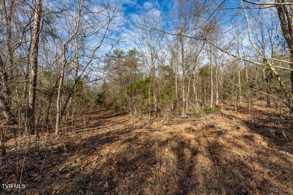 Tbd93-acres Hunting Hill Road Bluff City, TN 37618 - Photo 43 of 53 TBD Hunting Hill Rd Bluff City TN
