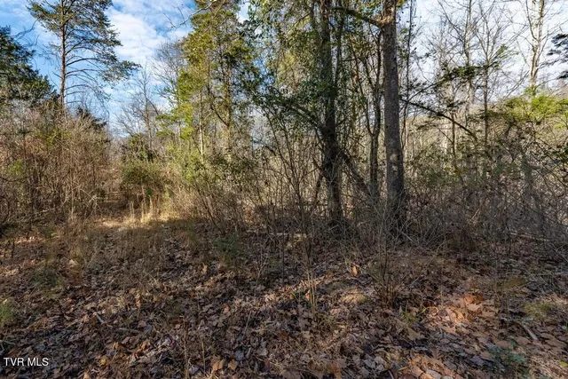$950,000 | Tbd93-acres Hunting Hill Road, Bluff City, TN 37618