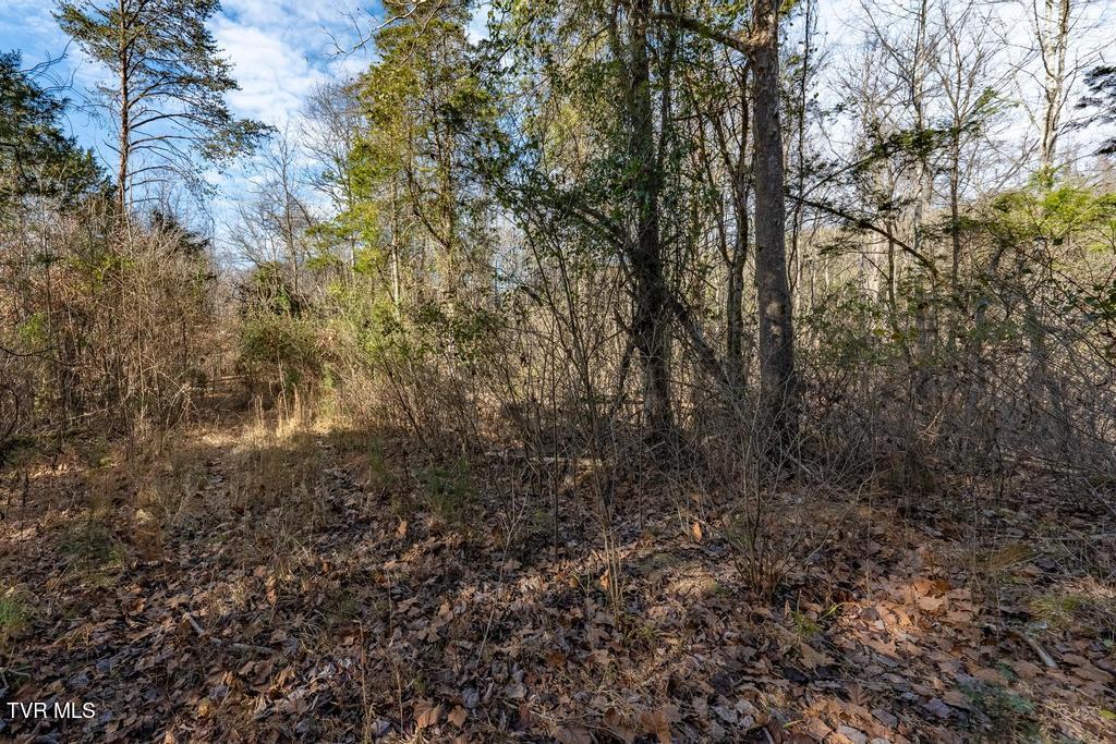 Tbd93-acres Hunting Hill Road Bluff City, TN 37618 - Photo 44 of 53 TBD Hunting Hill Rd Bluff City TN
