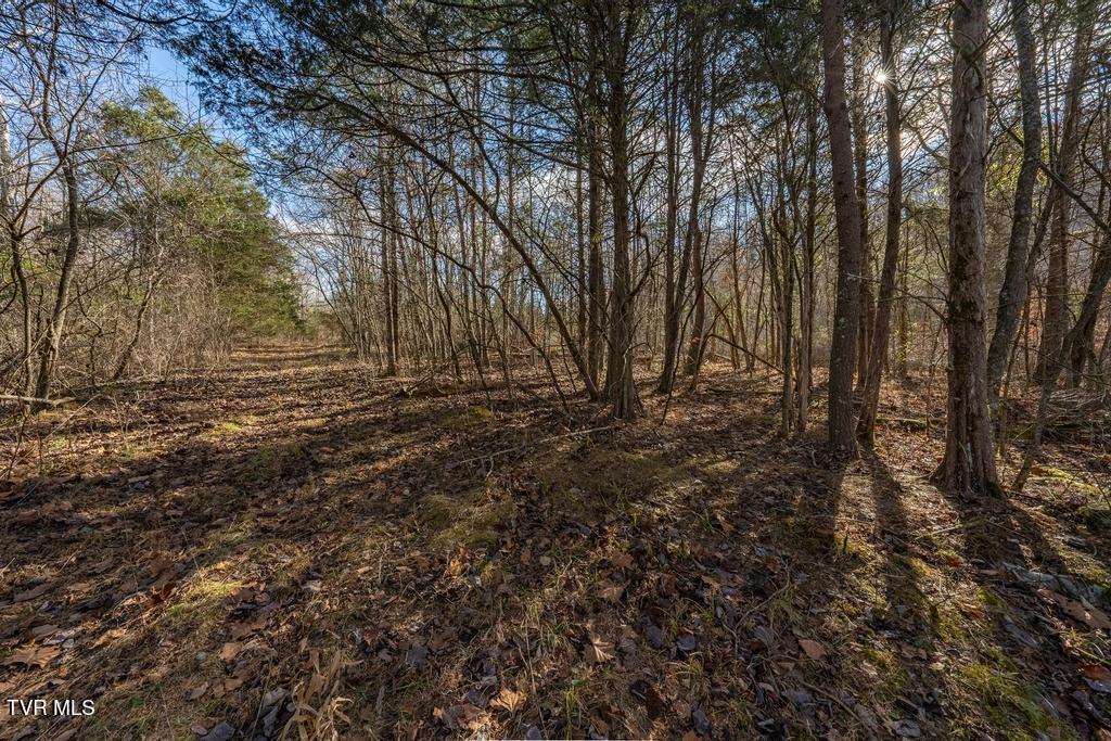 Tbd93-acres Hunting Hill Road Bluff City, TN 37618 - Photo 45 of 53 TBD Hunting Hill Rd Bluff City TN