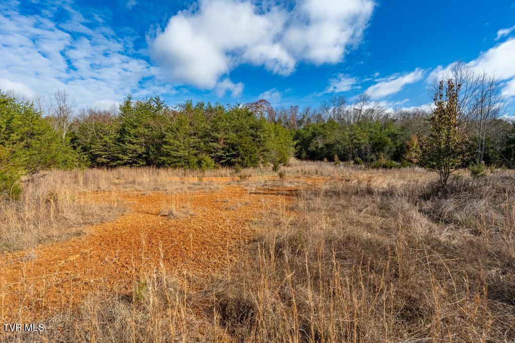 Tbd93-acres Hunting Hill Road Bluff City, TN 37618 - Photo 46 of 53 TBD Hunting Hill Rd Bluff City TN