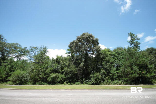 0 Dolive Ridge Daphne, AL 36527 - Photo 3 of 4