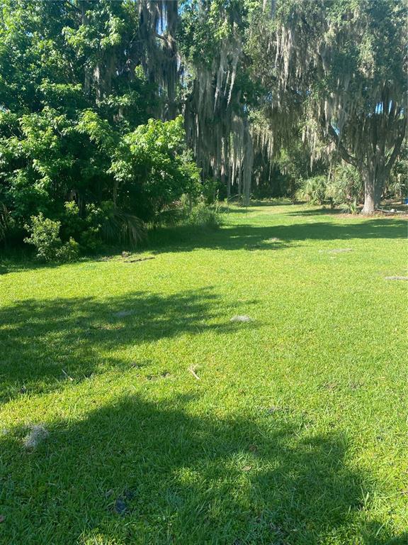 144 Drayton Island Road Georgetown, FL 32139 - Photo 3 of 8 a view of a grassy field with trees