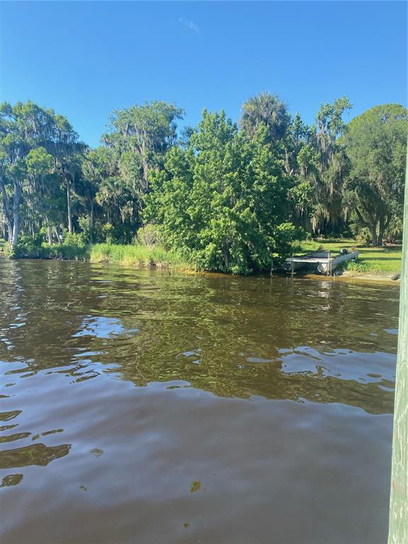 144 Drayton Island Road Georgetown, FL 32139 - Photo 7 of 8 a view of a lake from a yard