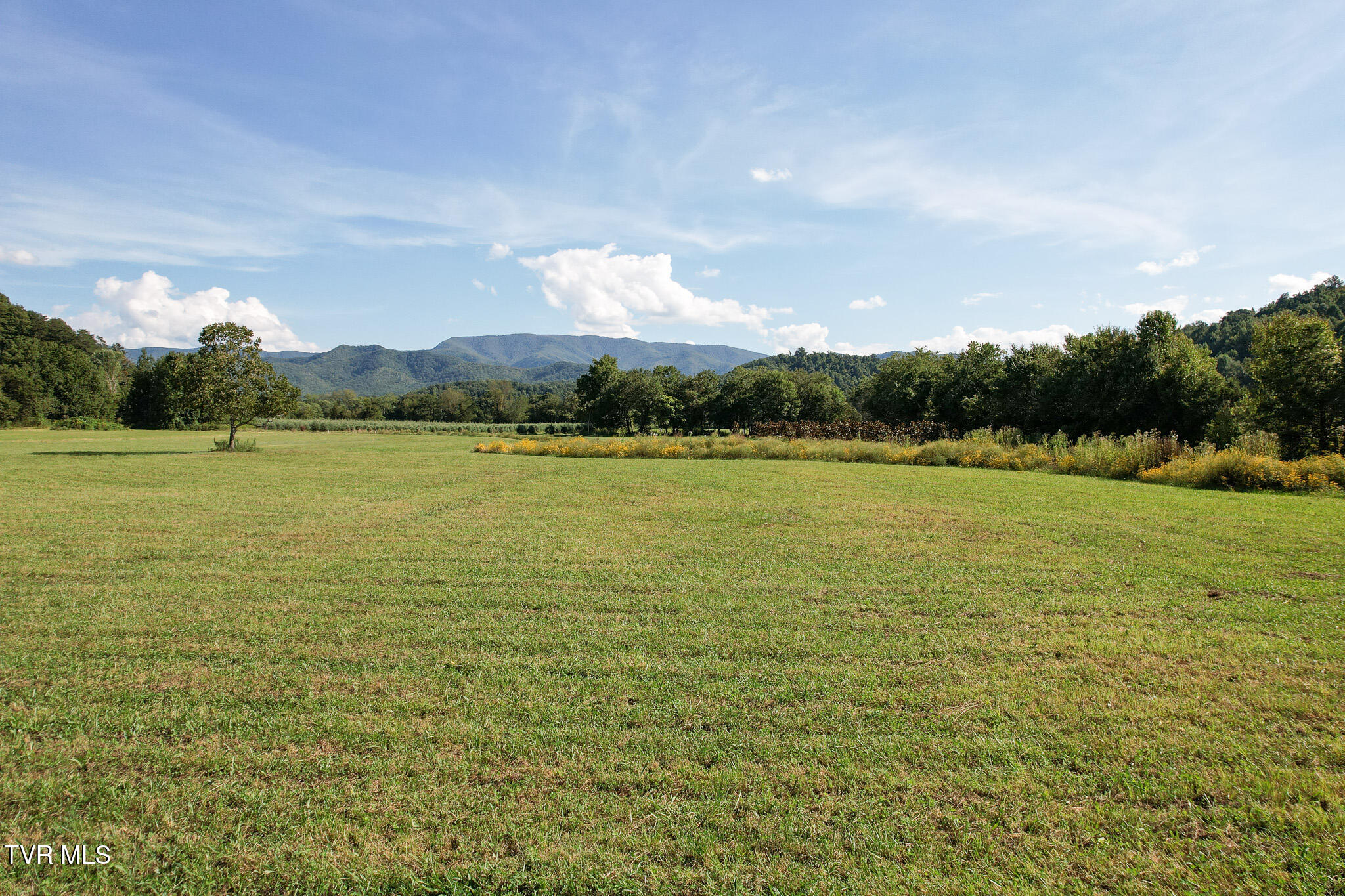 386 Fox Road Chuckey, TN 37641 - Photo 73 of 93 77