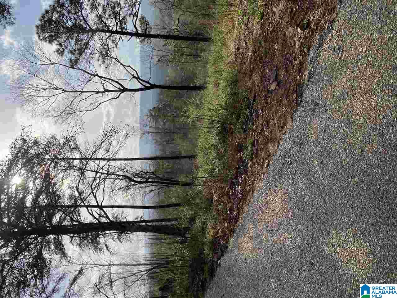 8150 Dunnavant Road, Unit 1 Leeds, AL 35094 - Photo 27 of 29