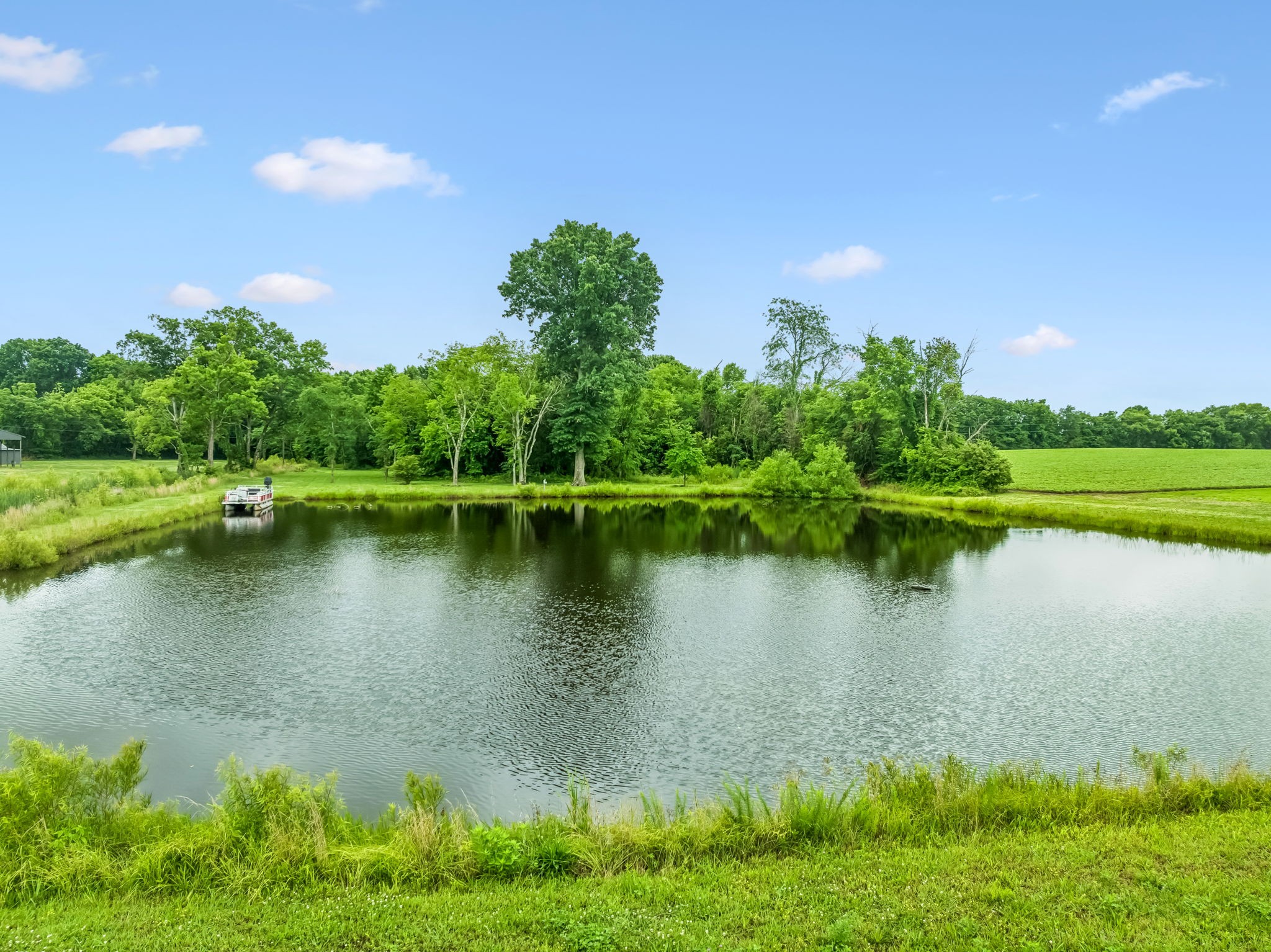 280 Kingdom Road Unionville, TN 37180 - Photo 38 of 65 a view of a lake with a house in the background