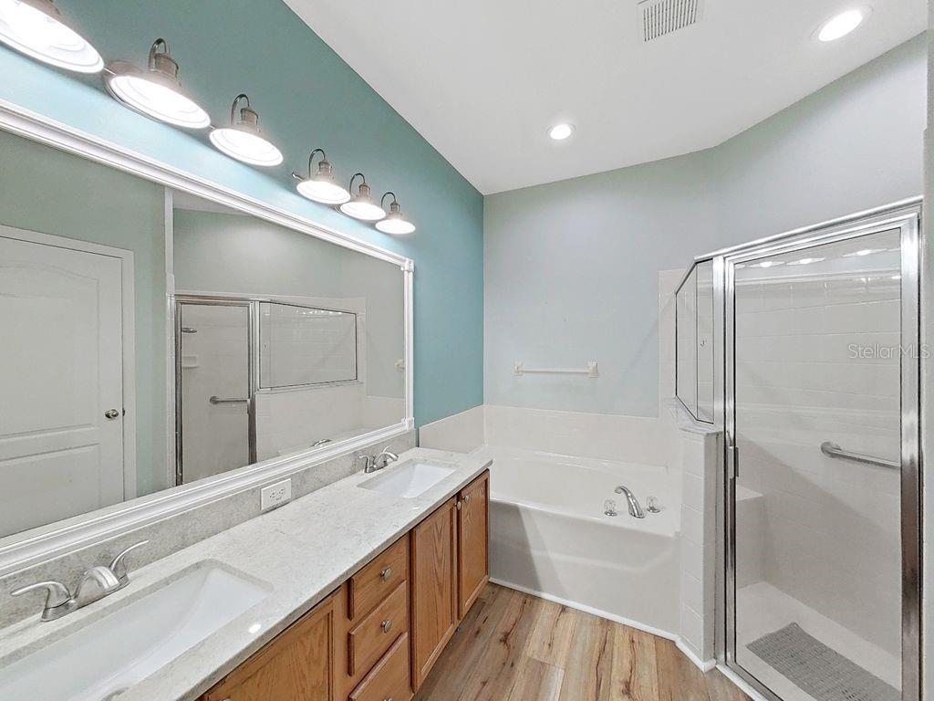 6077 Sandhill Ridge Drive Lithia, FL 33547 - Photo 25 of 58 a bathroom with a bathtub shower sink vanity and mirror