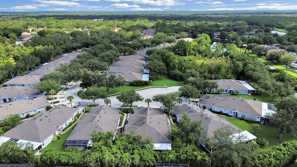 6077 Sandhill Ridge Drive Lithia, FL 33547 - Photo 39 of 58 an aerial view of residential houses with outdoor space and street view