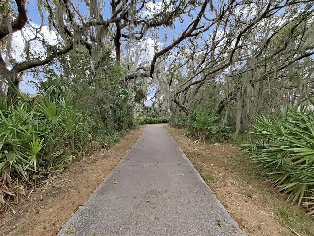 6077 Sandhill Ridge Drive Lithia, FL 33547 - Photo 44 of 58 a view of a pathway with a tree