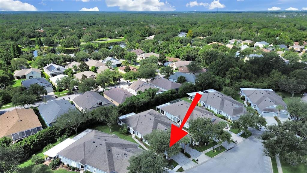 6077 Sandhill Ridge Drive Lithia, FL 33547 - Photo 47 of 58