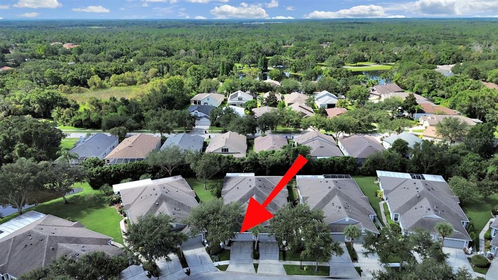 6077 Sandhill Ridge Drive Lithia, FL 33547 - Photo 48 of 58 an aerial view of residential houses with outdoor space and trees