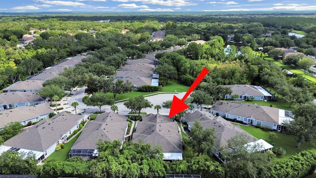 6077 Sandhill Ridge Drive Lithia, FL 33547 - Photo 49 of 58 an aerial view of a houses with outdoor space and street view
