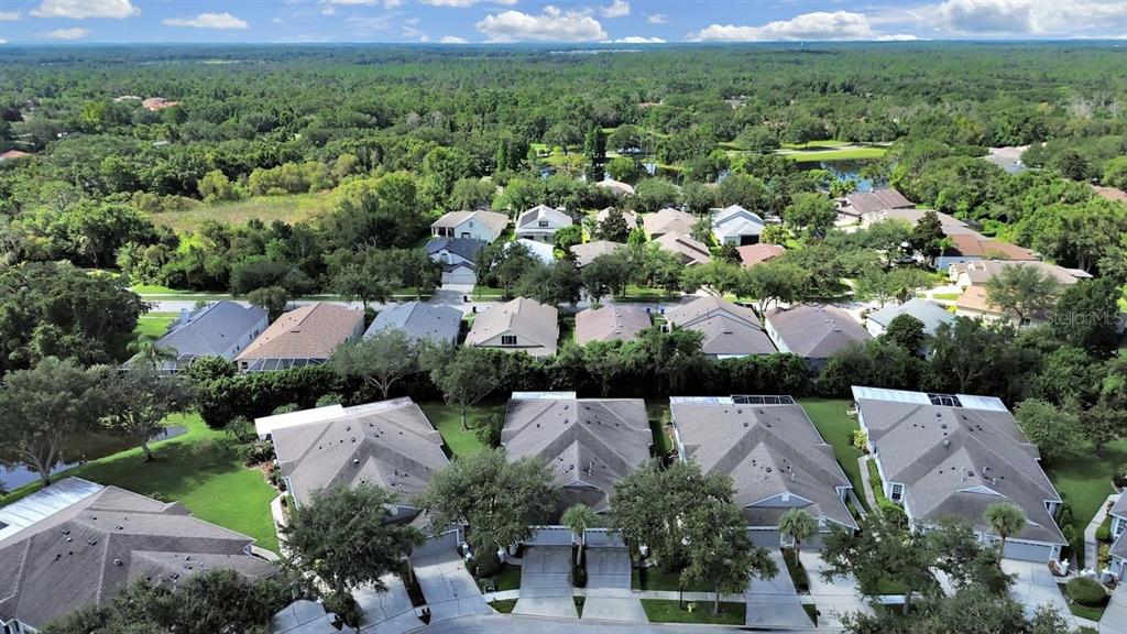 6077 Sandhill Ridge Drive Lithia, FL 33547 - Photo 51 of 58 an aerial view of a