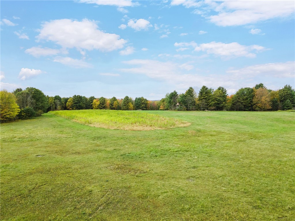 734 Post Road Franklin, NY 13775 - Photo 12 of 14