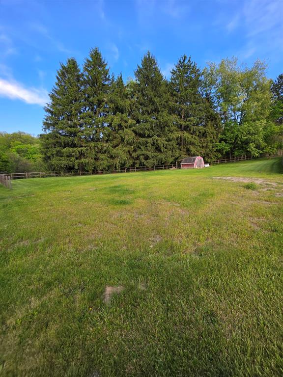 20 Jupiter Street Cecil, PA 15321 - Photo 5 of 8 a view of a big yard with lots of green space