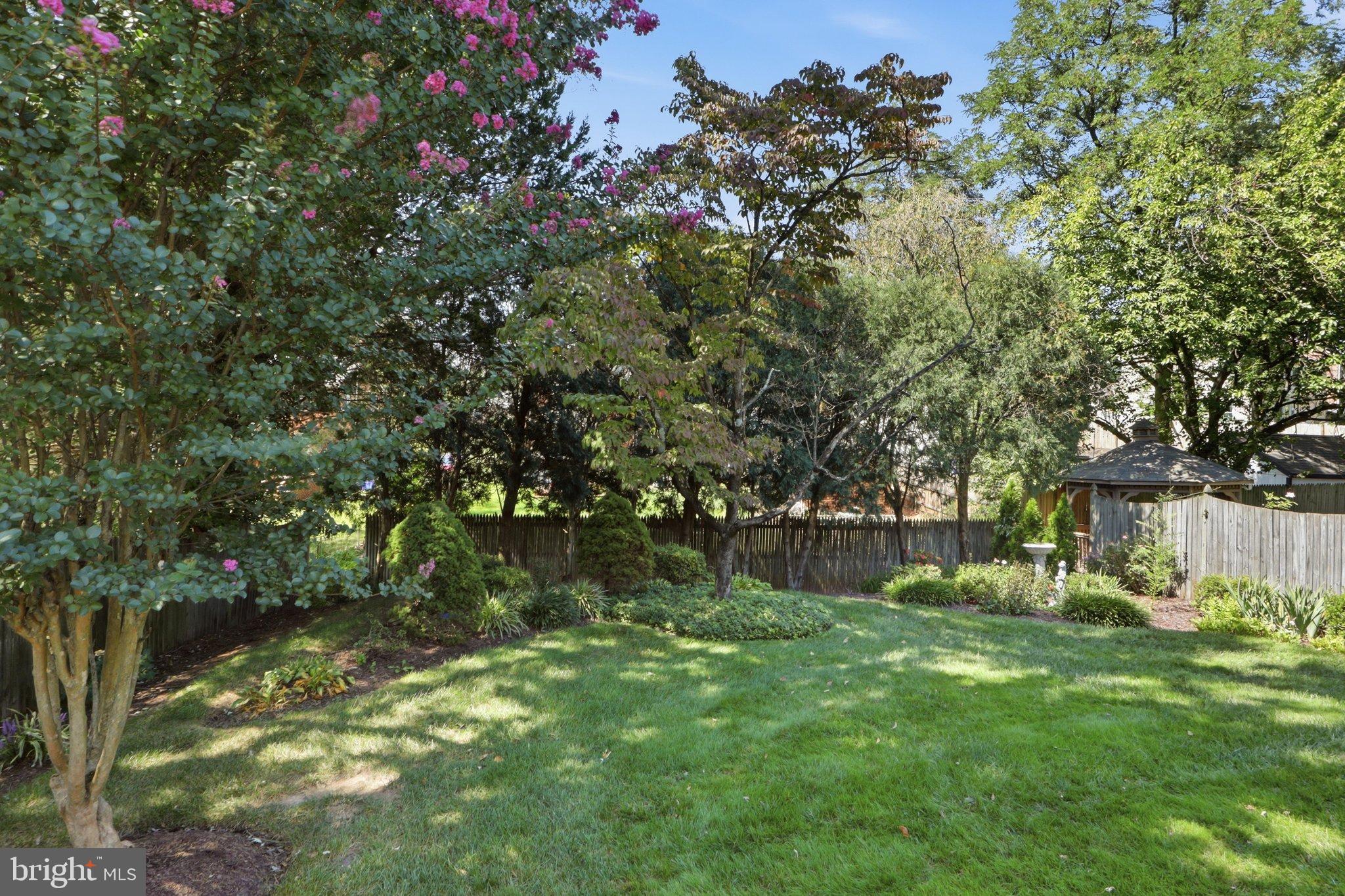 10010 Raynor Road Silver Spring, MD 20901 - Photo 31 of 44 Backyard