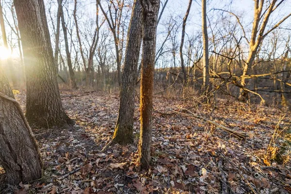 $1,950,000 | 615 Road Martinsville Mo 64467, Denver, MO 64441