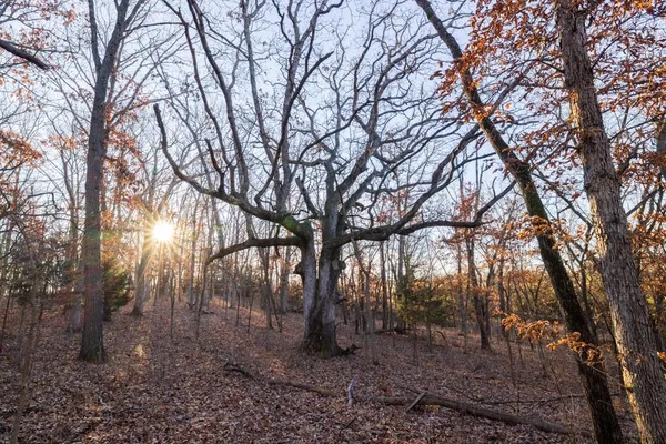 $1,950,000 | 615 Road Martinsville Mo 64467, Denver, MO 64441