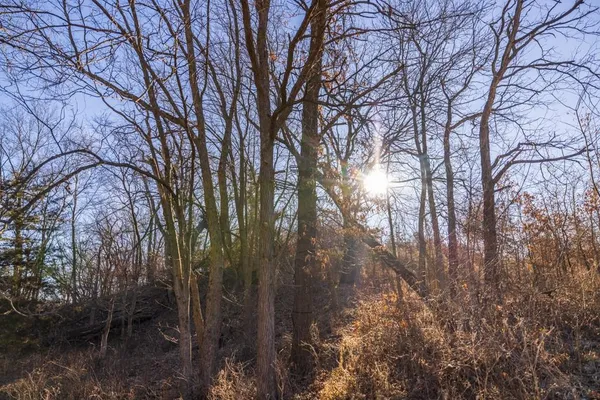$1,950,000 | 615 Road Martinsville Mo 64467, Denver, MO 64441