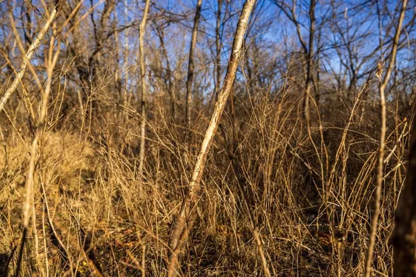 $1,950,000 | 615 Road Martinsville Mo 64467, Denver, MO 64441