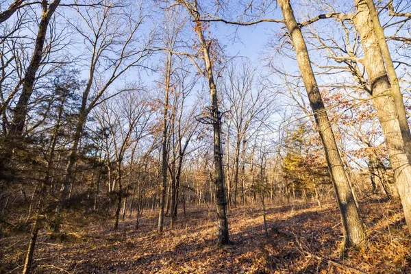 $1,950,000 | 615 Road Martinsville Mo 64467, Denver, MO 64441