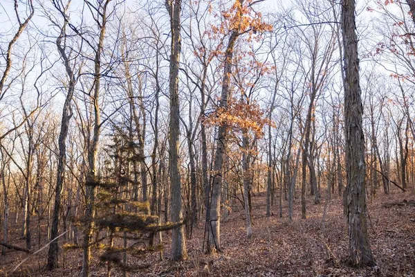 $1,950,000 | 615 Road Martinsville Mo 64467, Denver, MO 64441