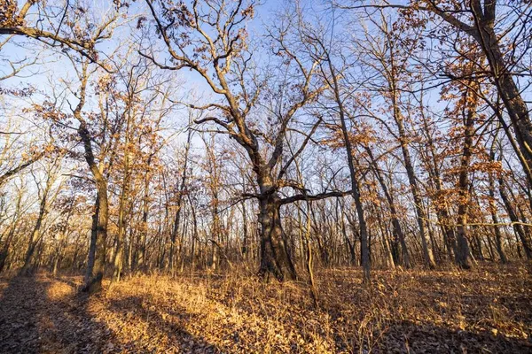 $1,950,000 | 615 Road Martinsville Mo 64467, Denver, MO 64441