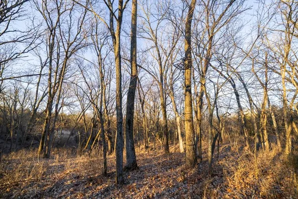 $1,950,000 | 615 Road Martinsville Mo 64467, Denver, MO 64441