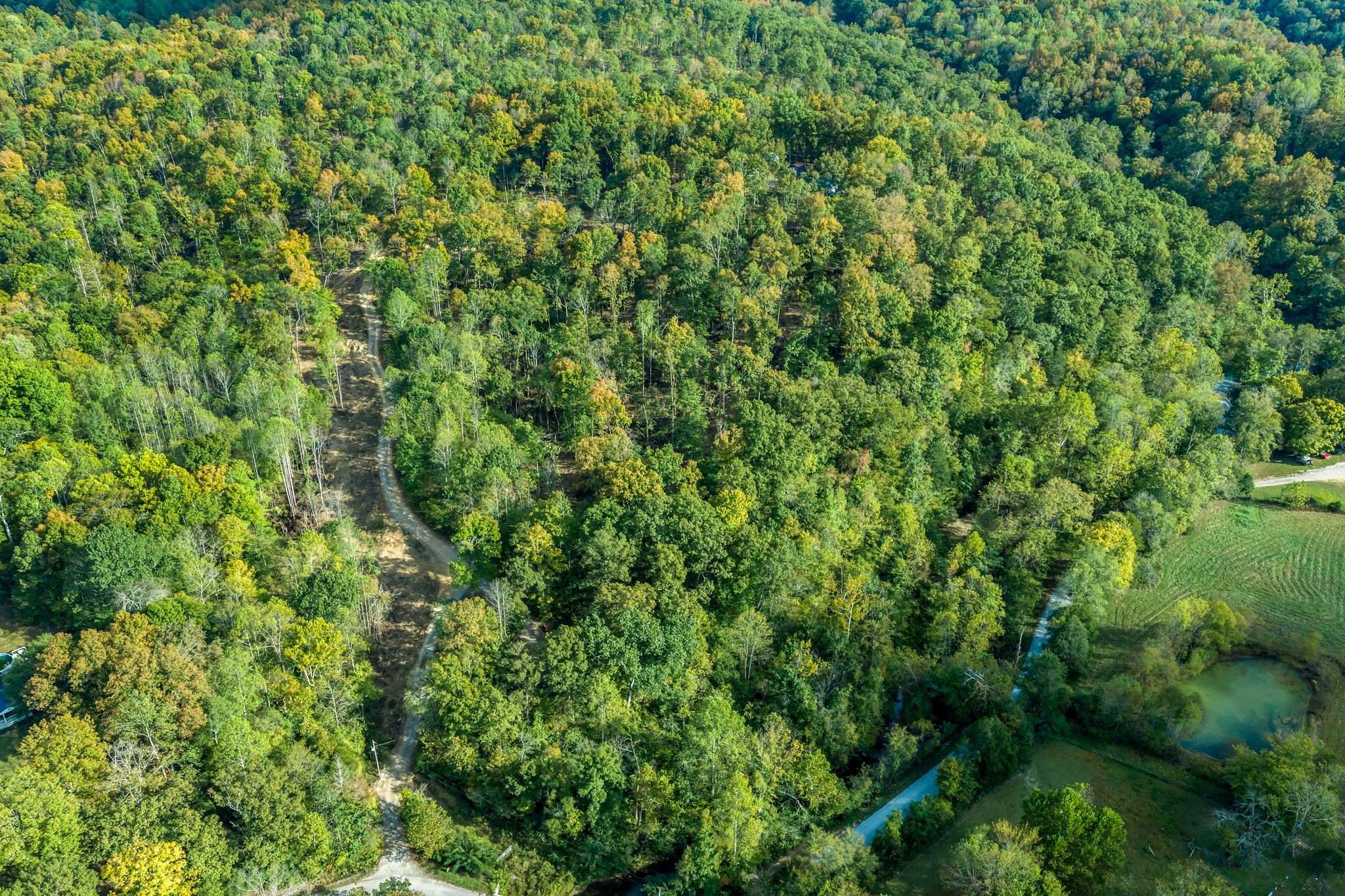 399 Coaling Road Charlotte, TN 37036 - Photo 2 of 73