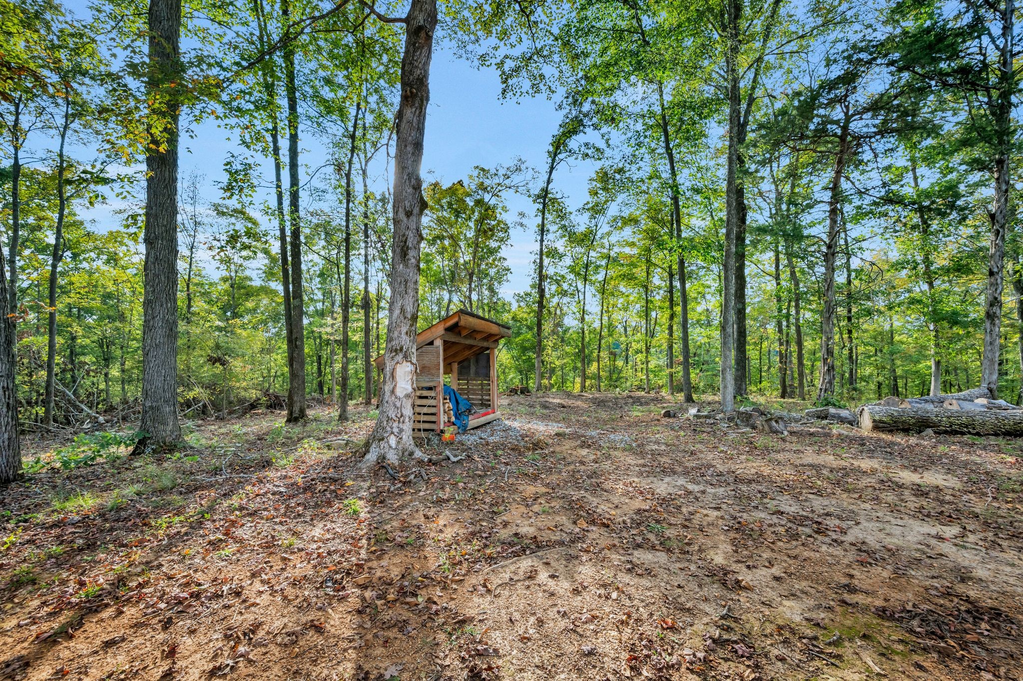 399 Coaling Road Charlotte, TN 37036 - Photo 31 of 73 a view of a outdoor space and trees
