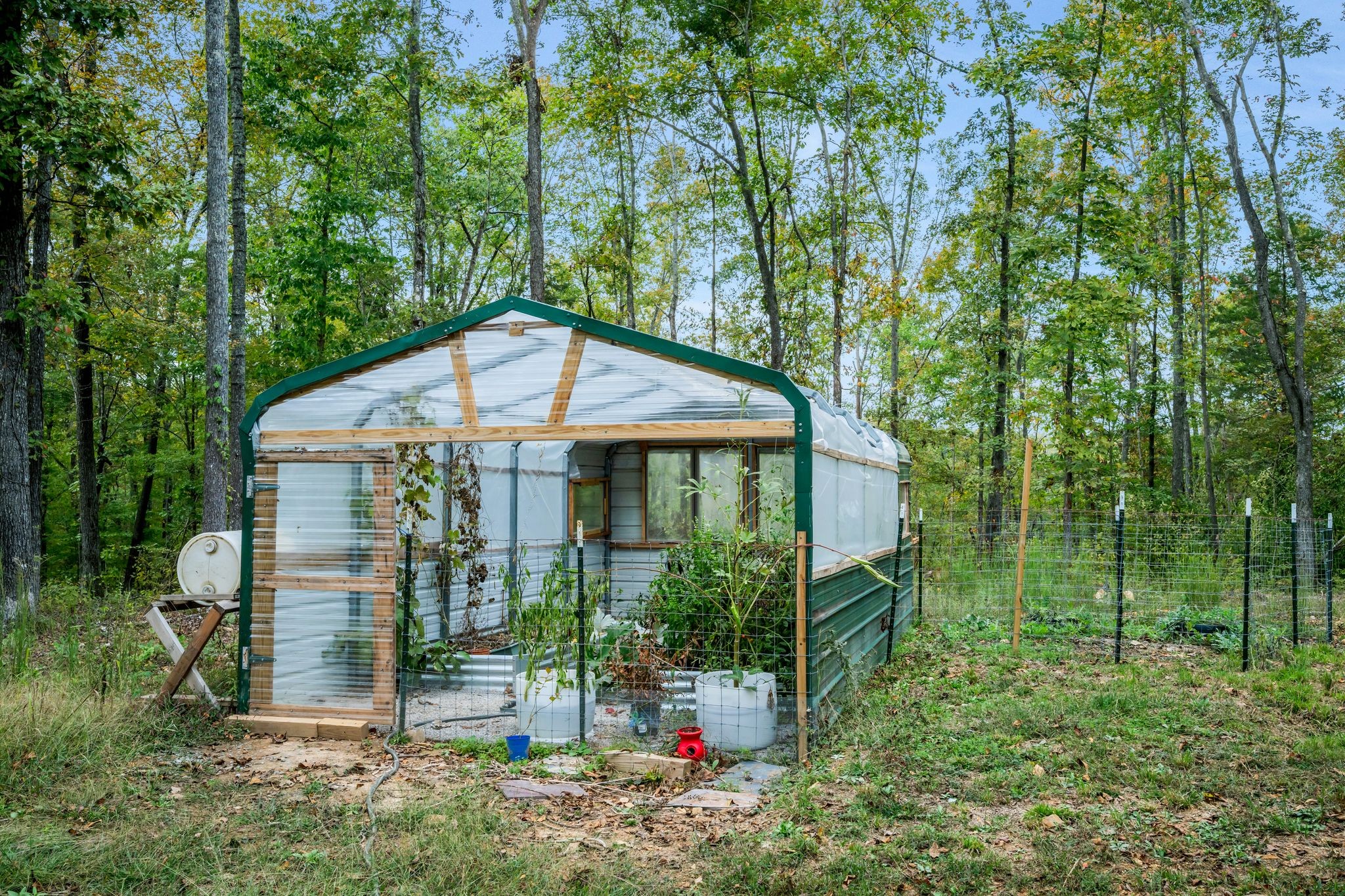 399 Coaling Road Charlotte, TN 37036 - Photo 33 of 73 a view of a small house in the forest