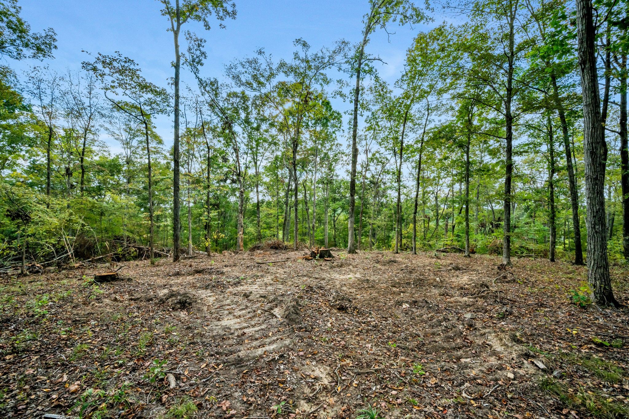 399 Coaling Road Charlotte, TN 37036 - Photo 34 of 73 a view of a dirt road with trees in the background