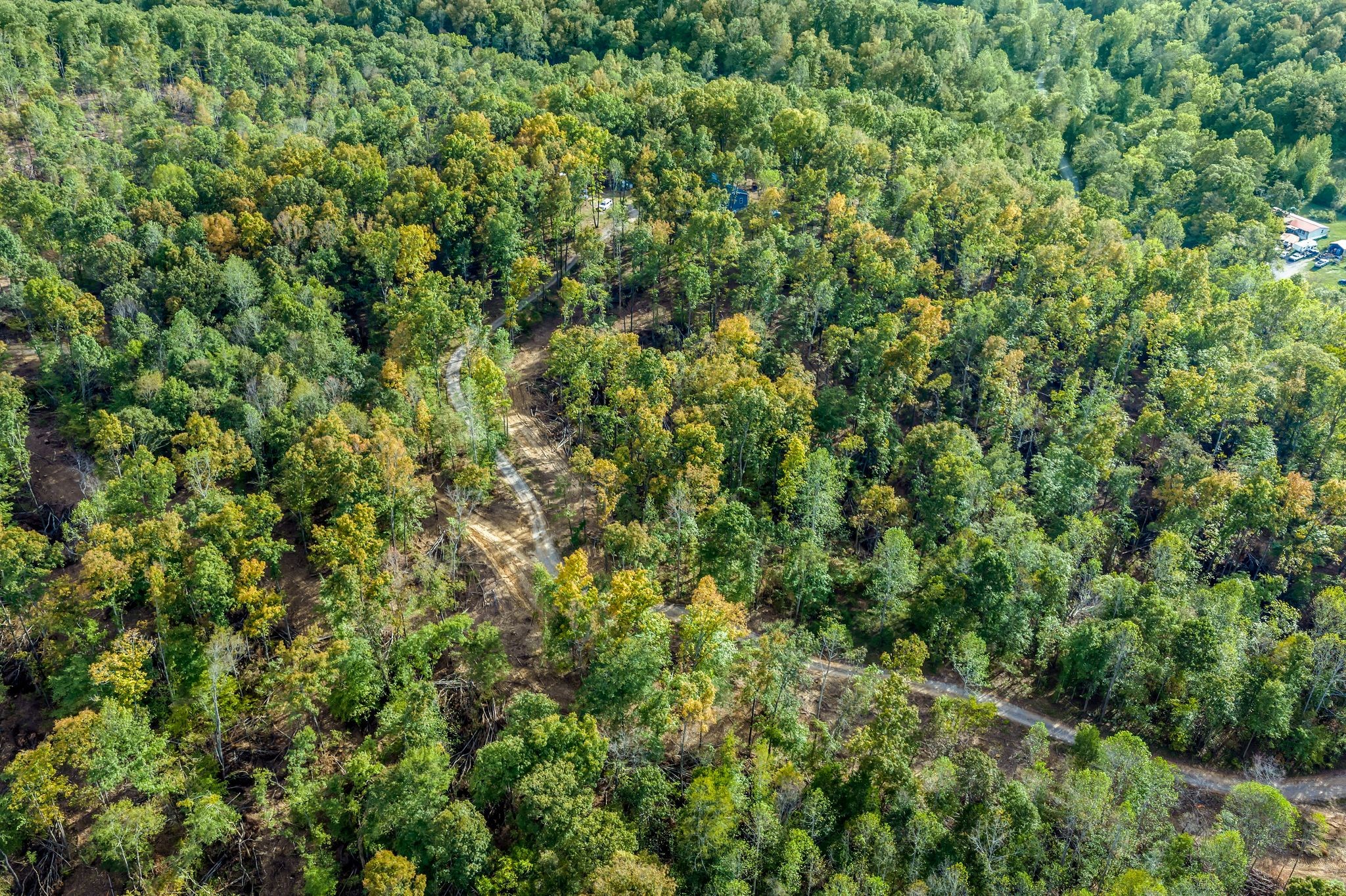 399 Coaling Road Charlotte, TN 37036 - Photo 55 of 73 a view of a lush green forest