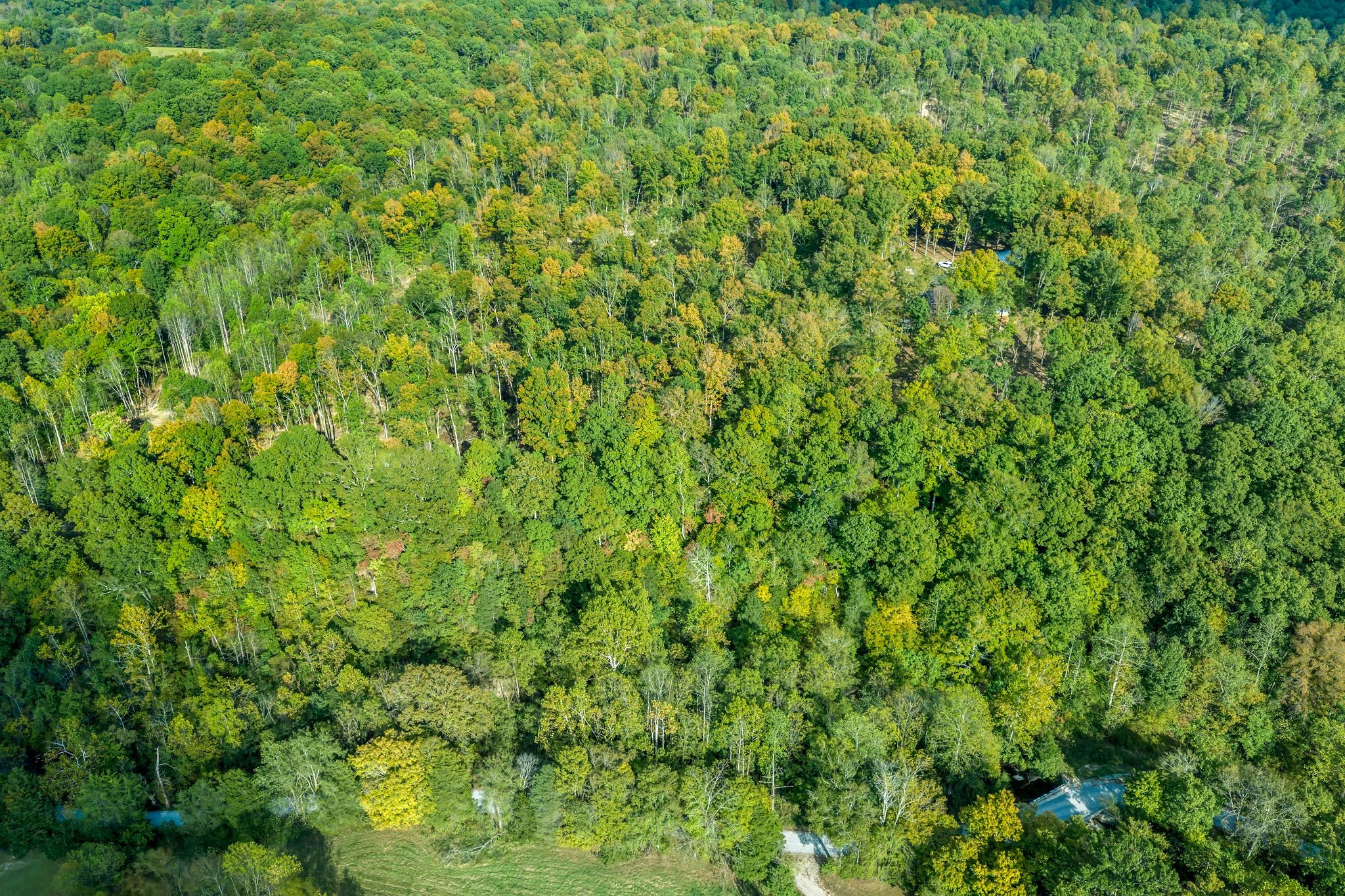 399 Coaling Road Charlotte, TN 37036 - Photo 59 of 73