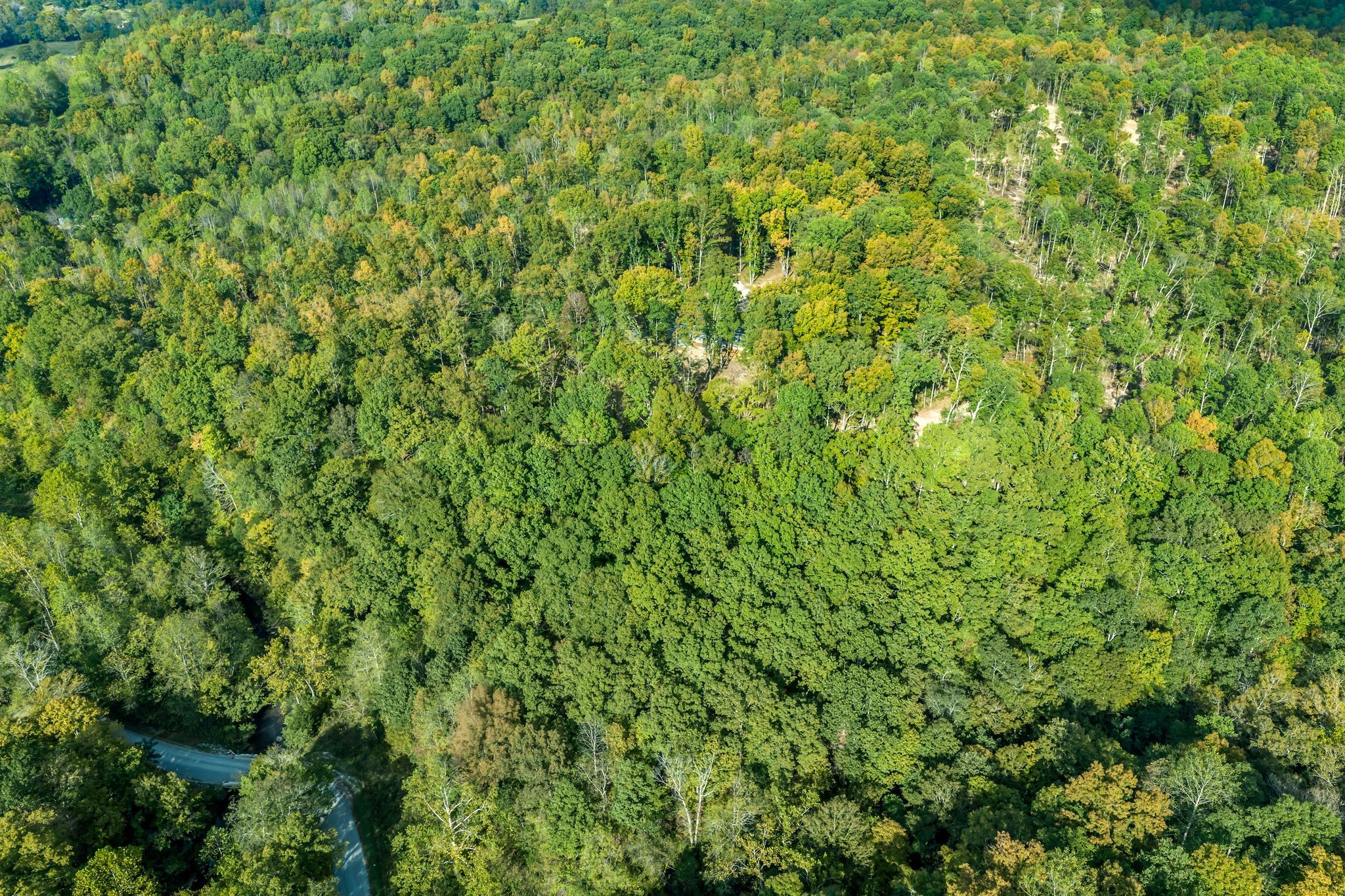 399 Coaling Road Charlotte, TN 37036 - Photo 60 of 73