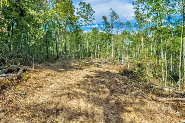 $1,425,000 | 399 Coaling Road, Charlotte, TN 37036