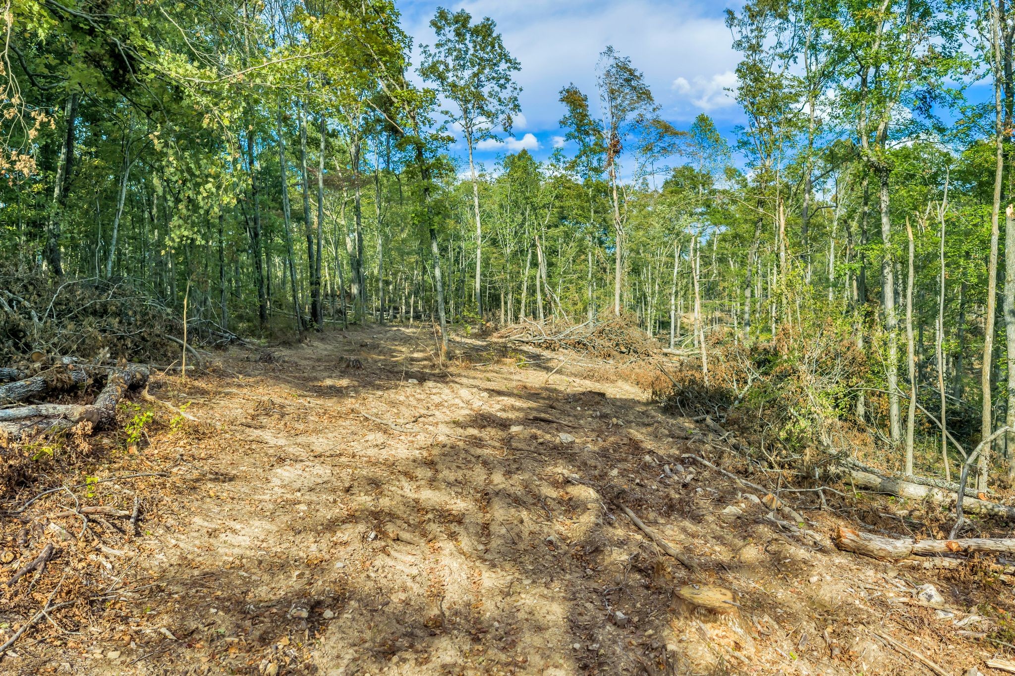 399 Coaling Road Charlotte, TN 37036 - Photo 64 of 73