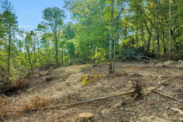 $1,425,000 | 399 Coaling Road, Charlotte, TN 37036