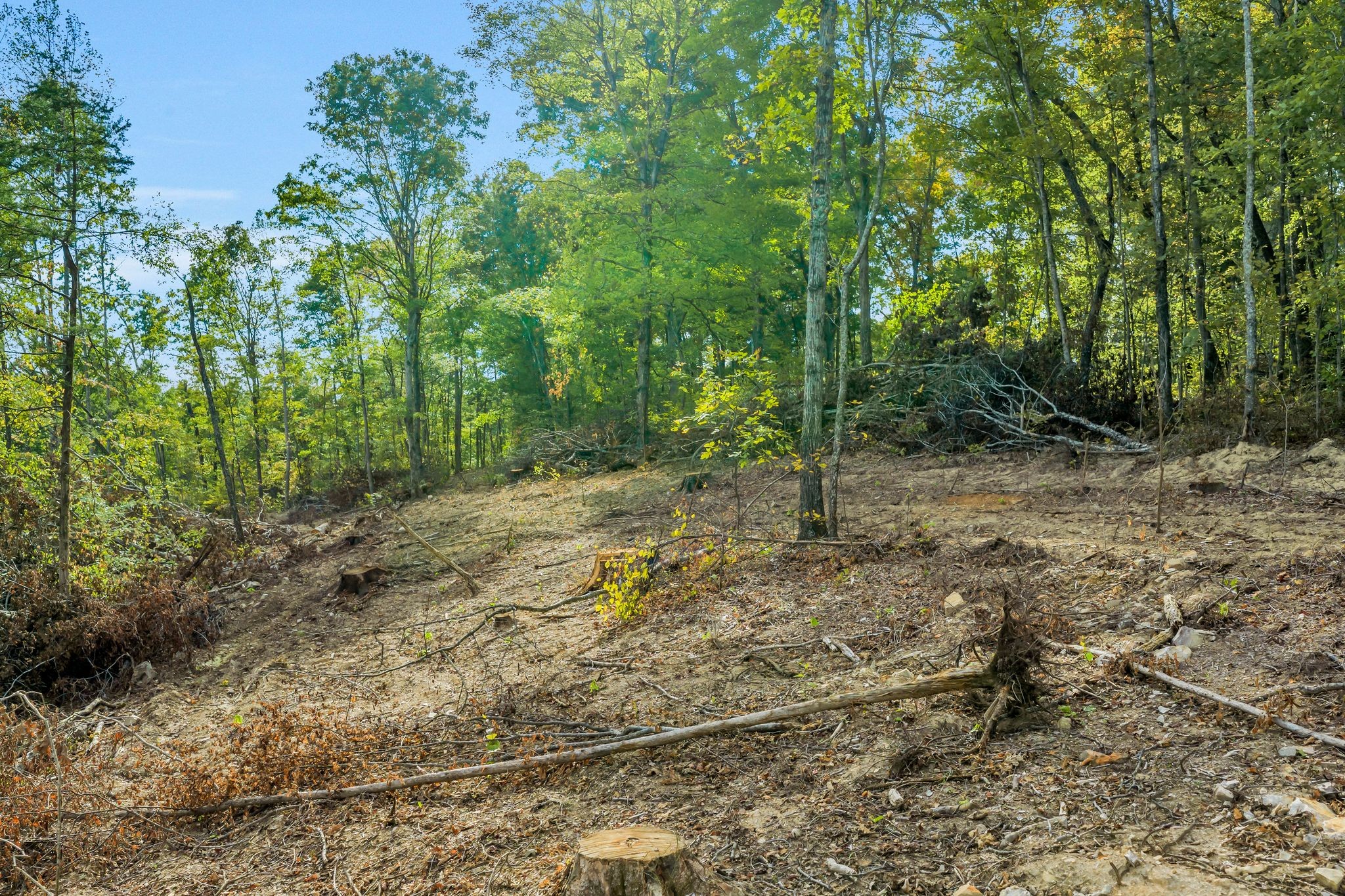 399 Coaling Road Charlotte, TN 37036 - Photo 65 of 73