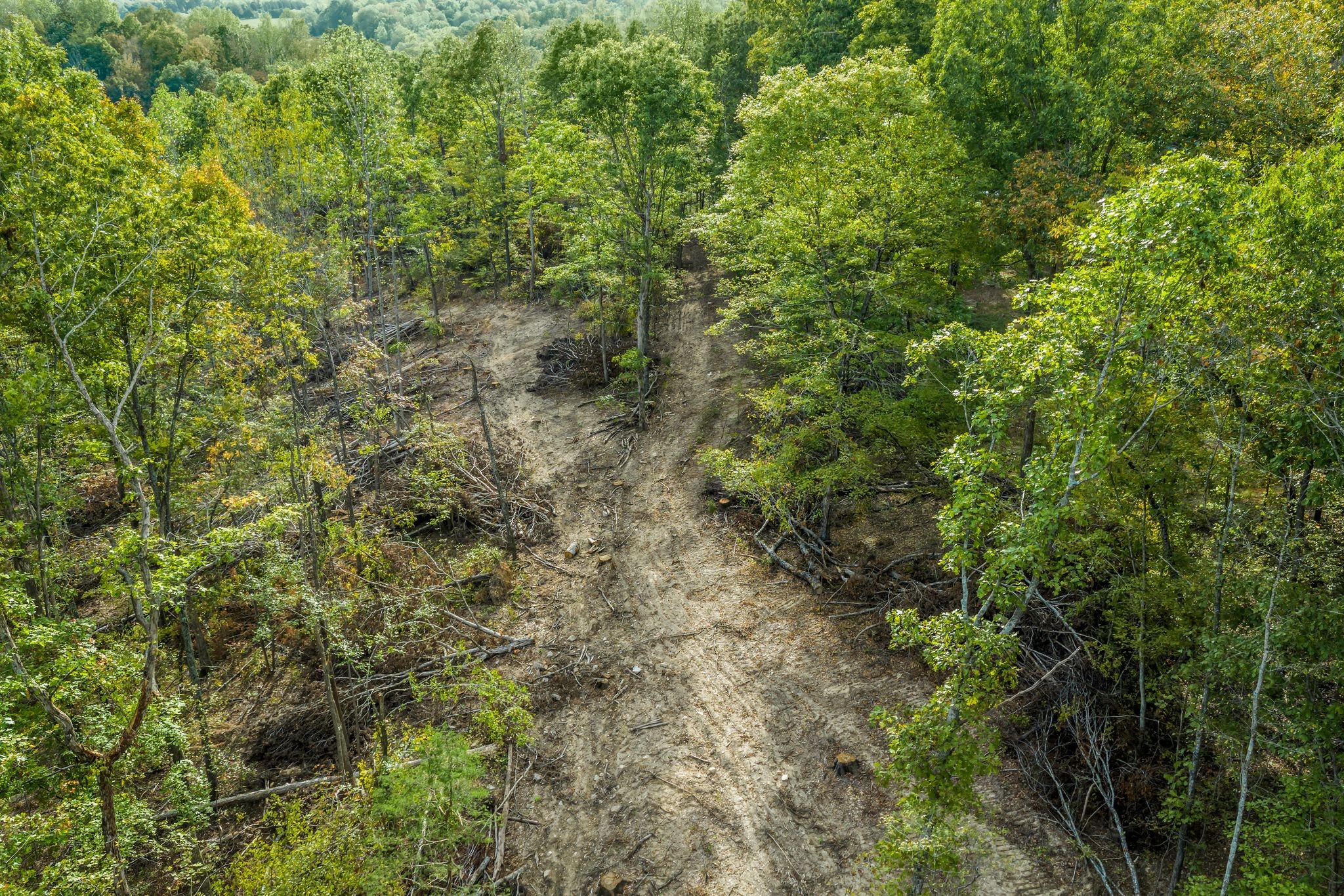399 Coaling Road Charlotte, TN 37036 - Photo 66 of 73