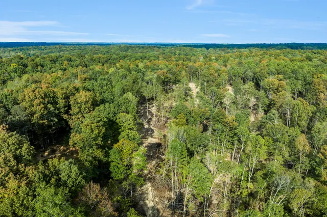 $1,425,000 | 399 Coaling Road, Charlotte, TN 37036