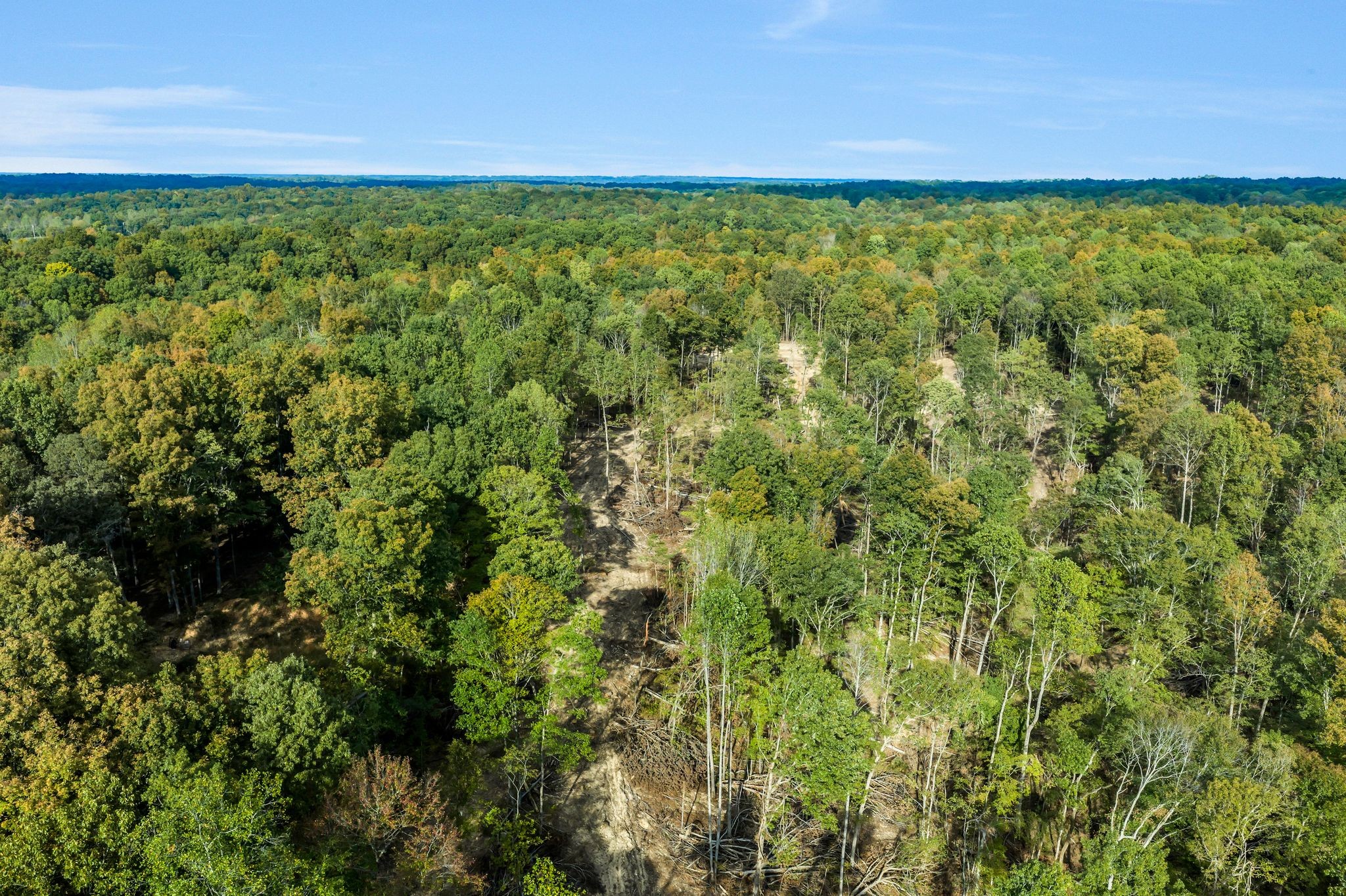 399 Coaling Road Charlotte, TN 37036 - Photo 67 of 73
