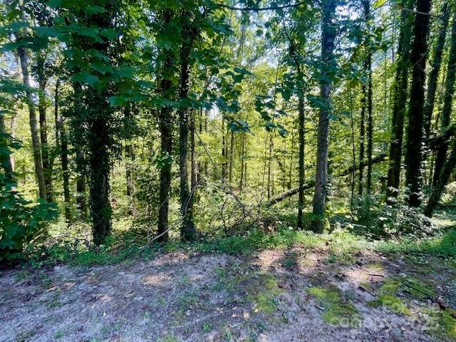 2215 Conley Road Morganton, NC 28655 - Photo 8 of 8 Gallery Image 8